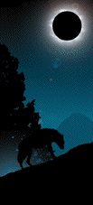 lupo buio ulula.gif